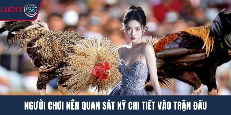 Người chơi nên quan sát kỹ chi tiết vào trận đấu