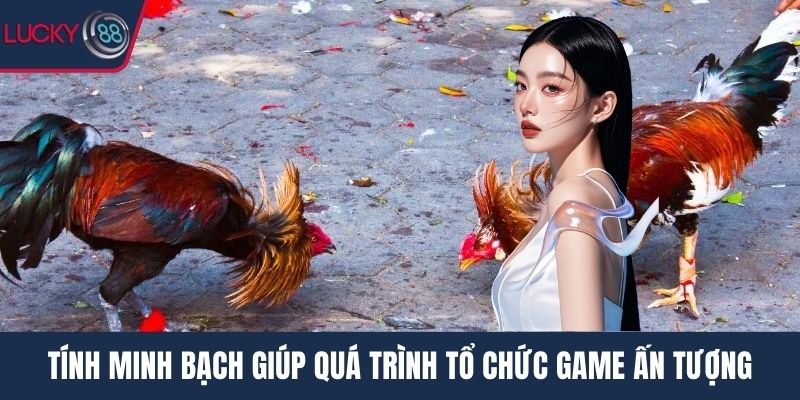 Tính minh bạch giúp quá trình tổ chức game ấn tượng