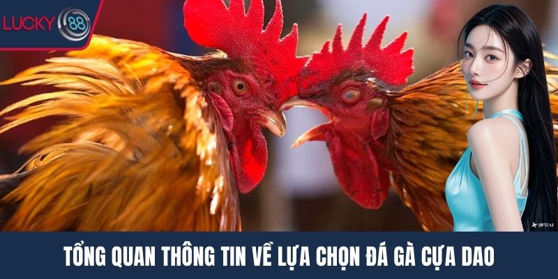 Tổng quan thông tin về lựa chọn đá gà cựa dao